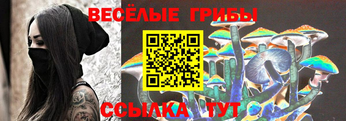 Галлюциногенные грибы Magic Shrooms Пушкино