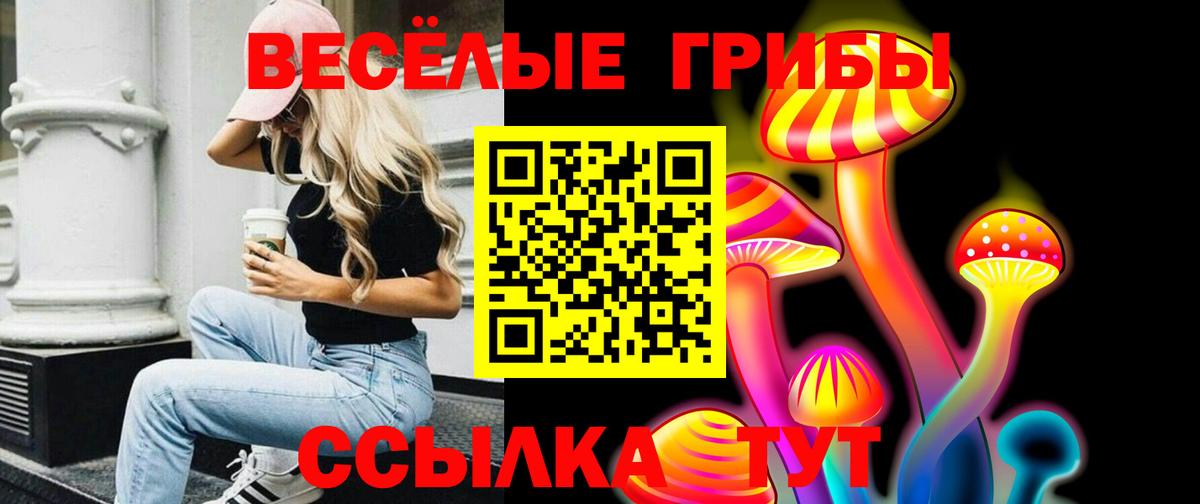 Галлюциногенные грибы MAGIC MUSHROOMS  Псилоцибиновые грибы Cubensis  Вход с VPN  Пушкино 